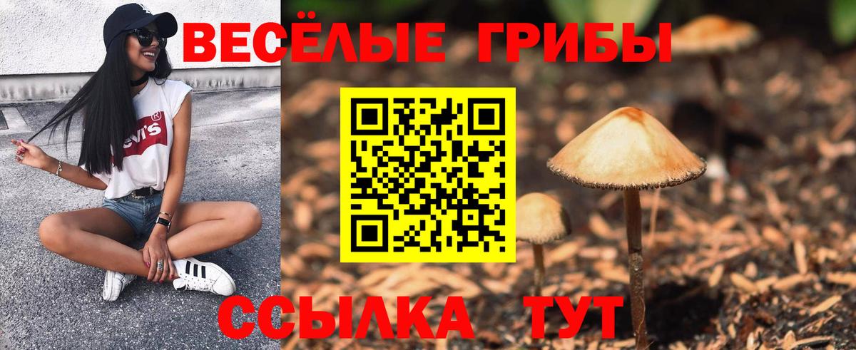 Псилоцибиновые грибы Cubensis  Вход с VPN  Псилоцибиновые грибы прущие грибы  Советская Гавань 
