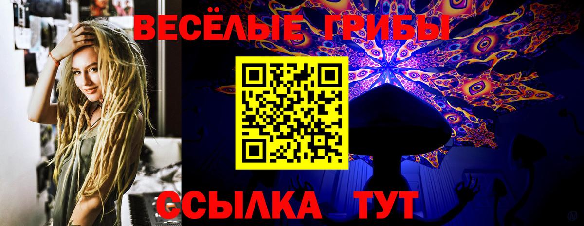 Кокаин Советская Гавань